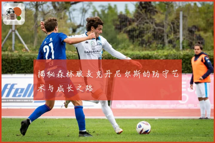 揭秘森林狼麦克丹尼尔斯的防守艺术与成长之路