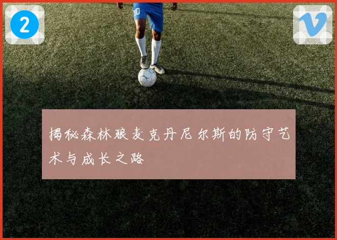 揭秘森林狼麦克丹尼尔斯的防守艺术与成长之路